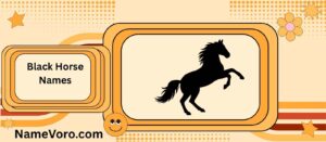 Black Horse Names