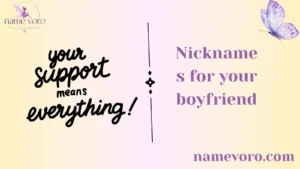 Nicknames for your boyfriend