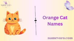 Orange Cat Names