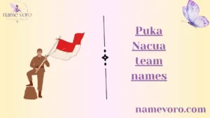Puka Nacua team names
