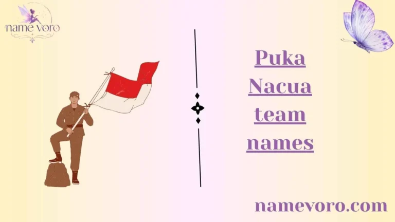 Puka Nacua team names