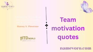 Team motivation quotes