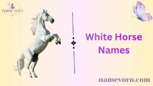 White Horse Names