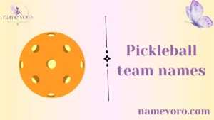 Pickleball team names