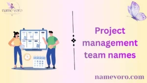 Project management team names
