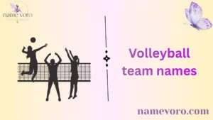 Volleyball team names