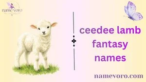 ceedee lamb fantasy names