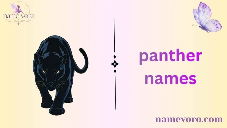panther names